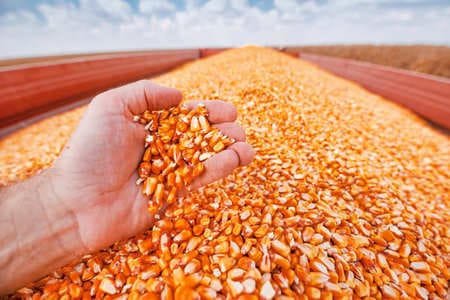 Купить диплом агронома в Нижневартовске