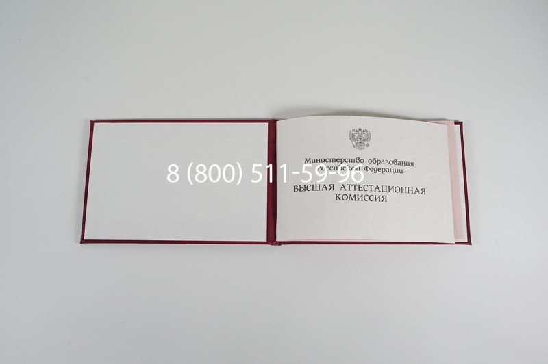 Диплом доктора наук 1995-2006 года в Нижневартовске Диплом доктора наук 1995-2006 года в Нижневартовске