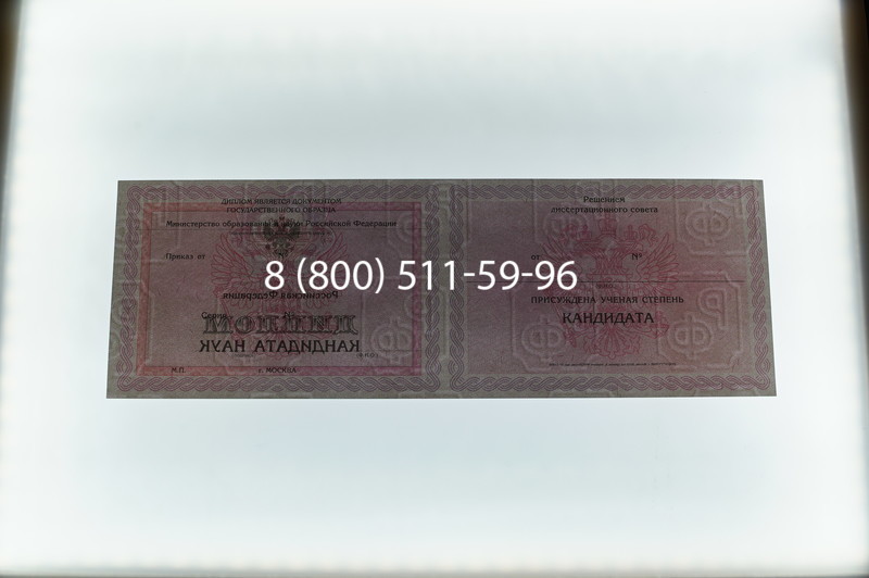Заказать Диплом кандидата наук 2010 в Нижневартовске