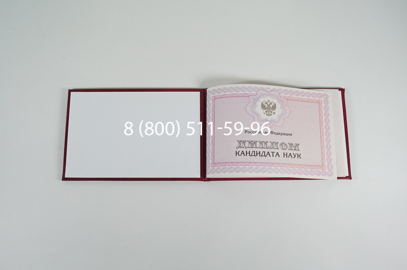 Заказать Диплом кандидата наук 2010 в Нижневартовске