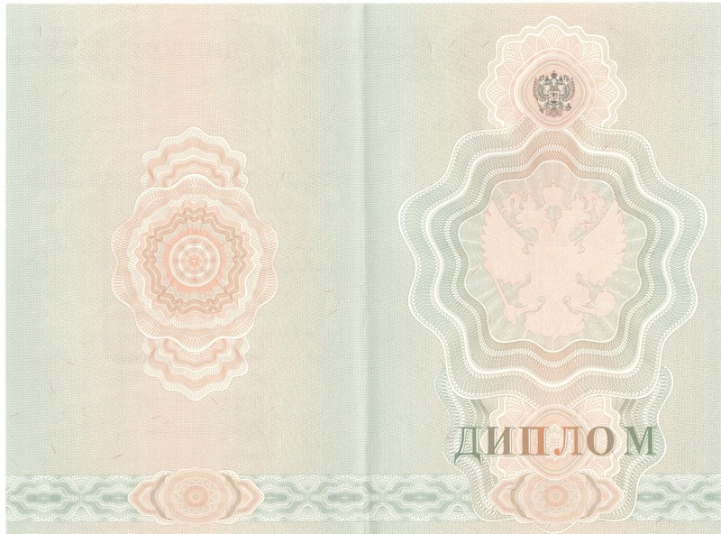 Купить Диплом о начальном образовании 2007-2009 годов в Нижневартовске Купить Диплом о начальном образовании 2007-2009 годов в Нижневартовске