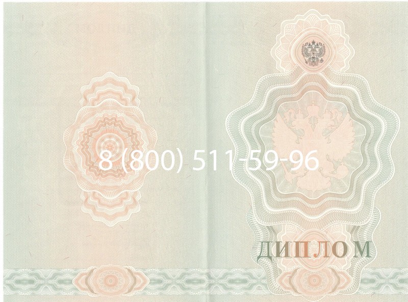 Купить Диплом училища 2007-2009 годов в Нижневартовске